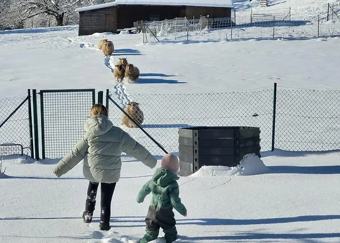 Westerwald Hideaway Ferienhaus